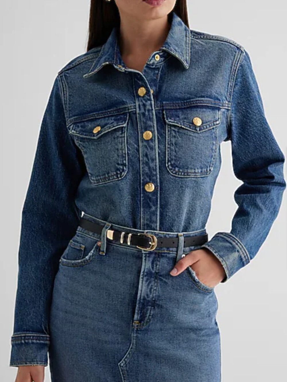 Express Women's Relaxed Denim Novelty Button Shirt. Large
